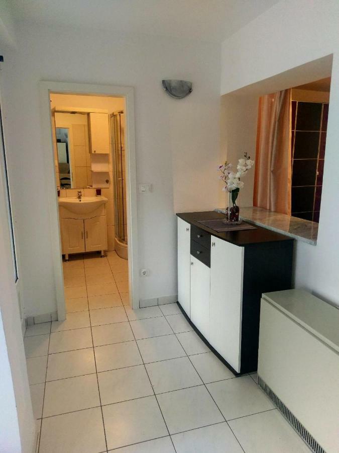 Lovely Apartment With Garden And Terrace Rijeka Dış mekan fotoğraf