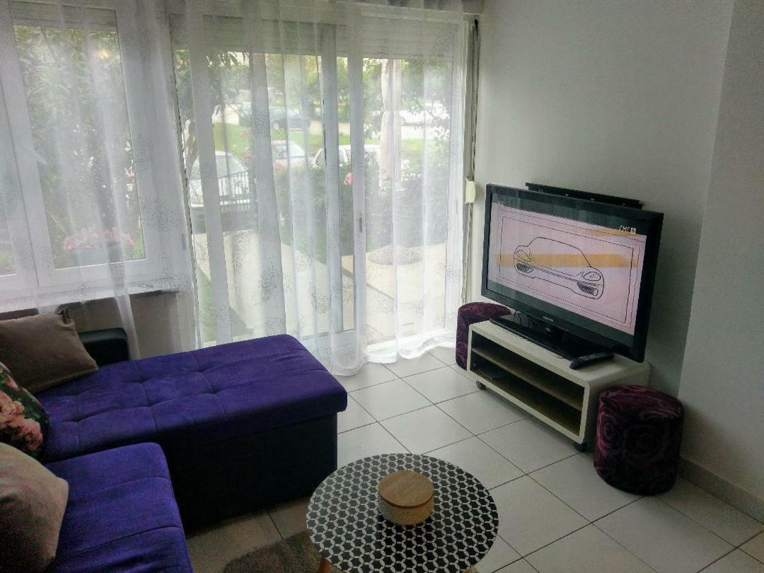 Lovely Apartment With Garden And Terrace Rijeka Dış mekan fotoğraf